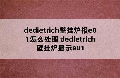 dedietrich壁挂炉报e01怎么处理 dedietrich壁挂炉显示e01